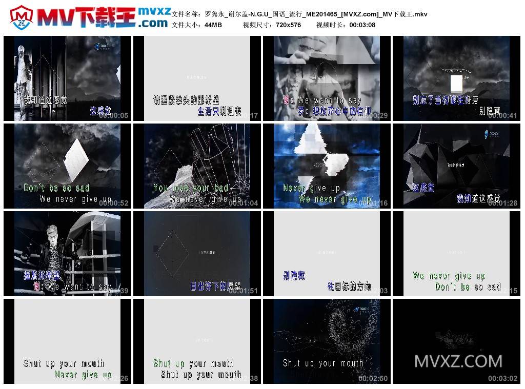 罗隽永_谢尔盖-N.G.U_国语_流行_ME201465